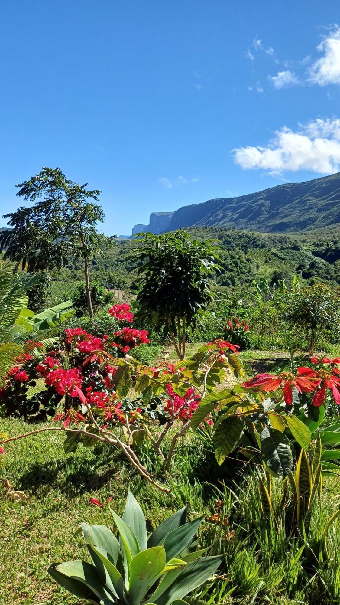 Canto Da Grauna Ibicoara